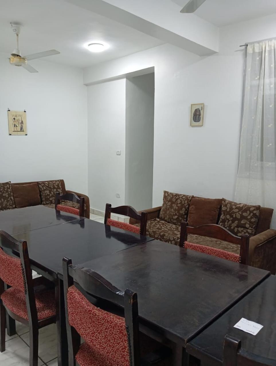 Abeer Guest House الأقصر المظهر الخارجي الصورة